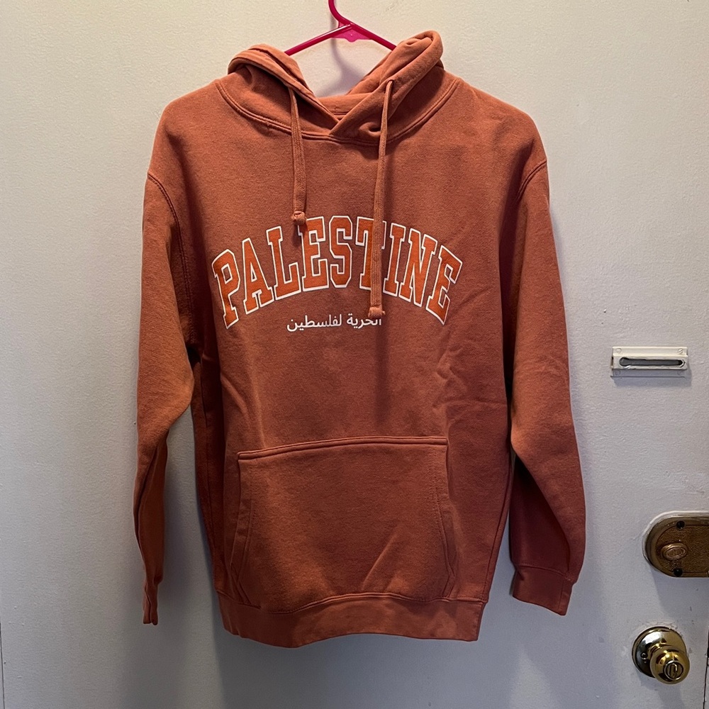 Palestine Graphic Hoodie - Salmon Color Pullover